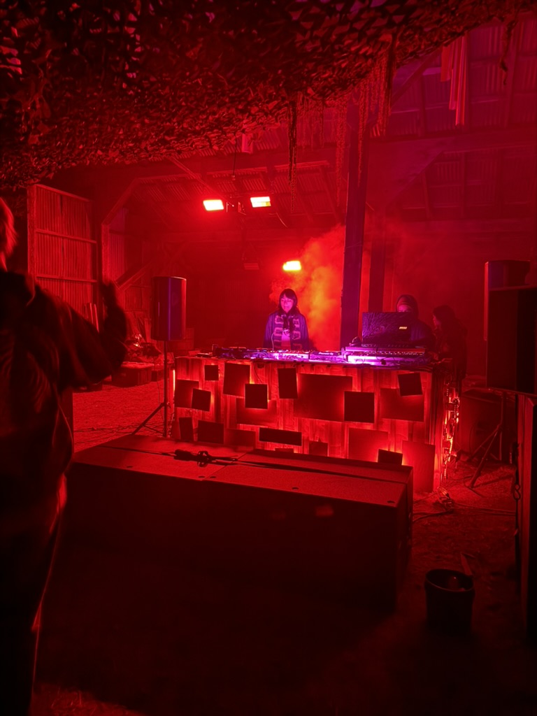 The stage in action during the show